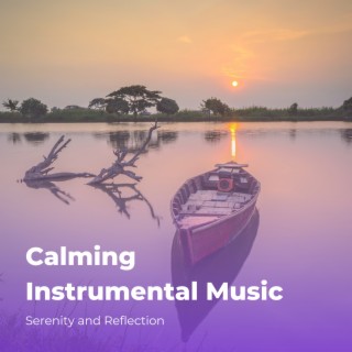 Calming Instrumental Music: Serenity and Reflection