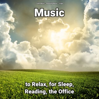 Music to Relax, for Sleep, Reading, the Office