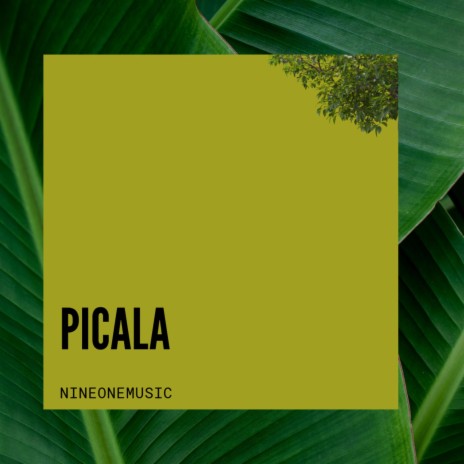 PICALA | Boomplay Music