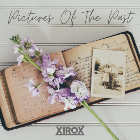 Pictures Of The Past | Boomplay Music