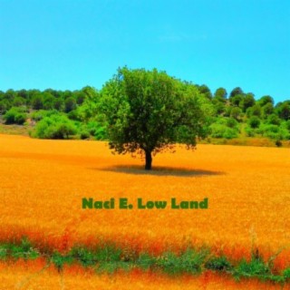 Low Land