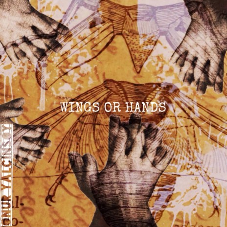 Wıngs or Hands