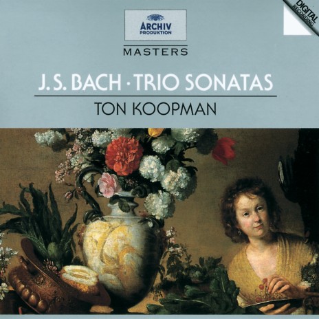 J.S. Bach: Sonata No. 3 In D Minor, BWV 527 - 3. Vivace | Boomplay Music