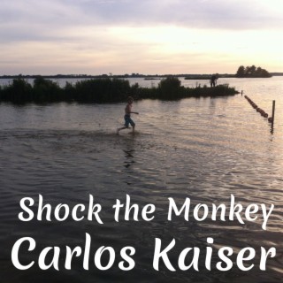 Shock the Monkey