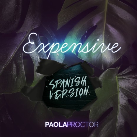 Expensive (Spanish Version) | Boomplay Music