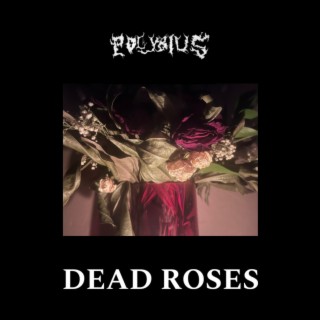 DEAD ROSES