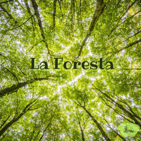 La foresta