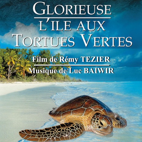 L'ile aux tortues