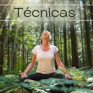 Técnicas de Reducción de Estrés: 1 Hora de Música Relajante para Meditación, Ejercicios de Qigong Yoga y Meditación Profunda