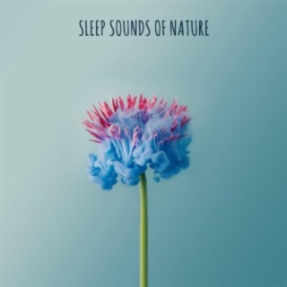 Sleep Sounds Of Nature