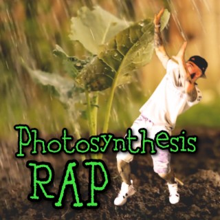 Photosynthesis Rap