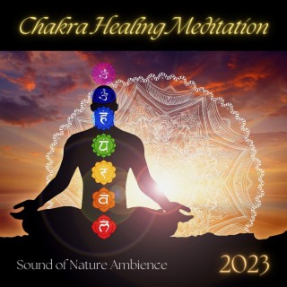 2023 Chakra Healing Meditation: Sound of Nature Ambience