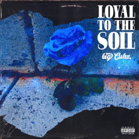Loyal To The Soil | Boomplay Music