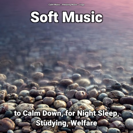 Slow Music ft. Relaxing Music & Calm Music | Boomplay Music