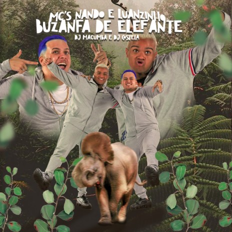 Buzanfa de Elefante ft. DJ Macumba & DJ Costela | Boomplay Music