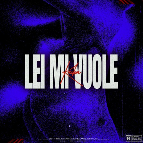 Lei mi vuole | Boomplay Music