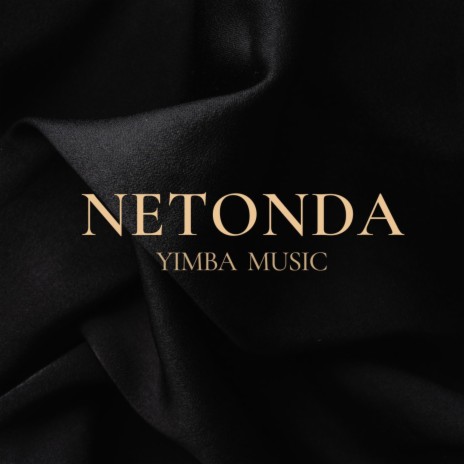 NETONDA | Boomplay Music