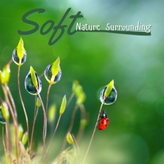 Soft Nature Surrounding: Gentle Music for Your Quiet Reading Moments