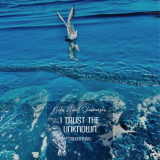 I Trust the Unknown – Meditation