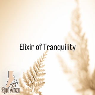 Elixir of Tranquility: Spa Revitalization