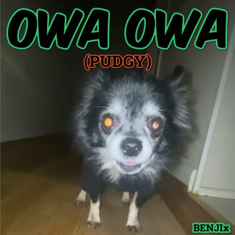 OWA OWA (Pudgy) | Boomplay Music