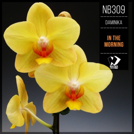 Touch Autumn (Original Mix) | Boomplay Music