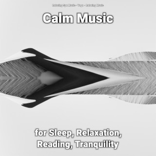 Calm Music for Sleep, Relaxation, Reading, Tranquility