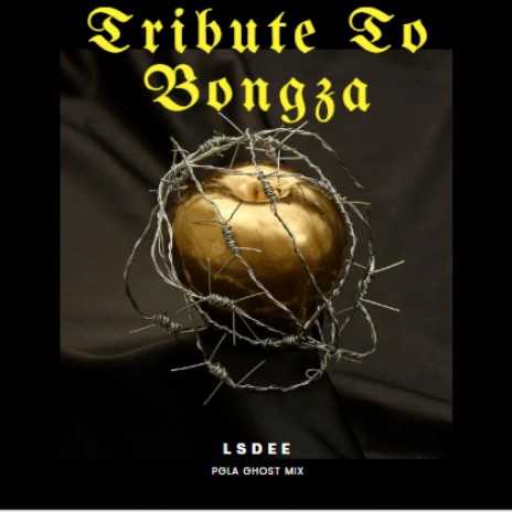 Tribute to Bongza (PGLA Ghost Mix)