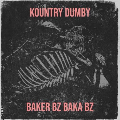 Kountry Dumby | Boomplay Music