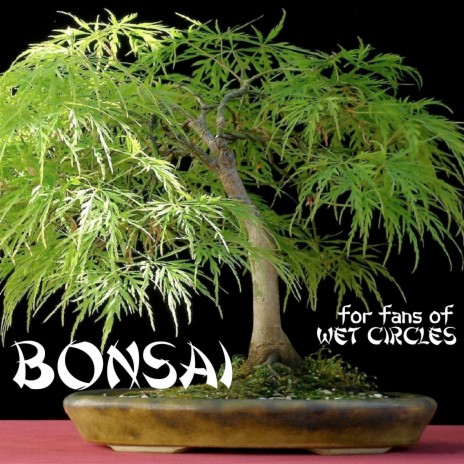 Bonsai | Boomplay Music