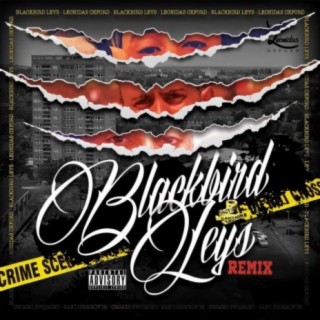 Blackbird Leys Remix