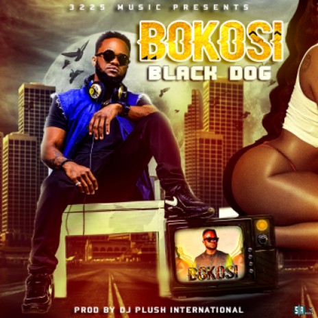 Bokosi | Boomplay Music