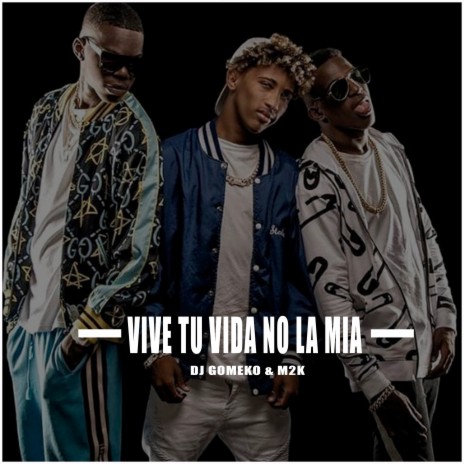 Vive tu Vida no la Mia ft. Dj Gomeko | Boomplay Music