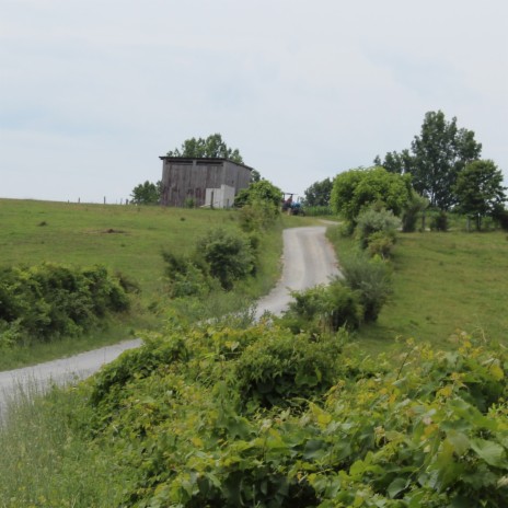 Back Valley Road (Country/Bluegrass) | Boomplay Music