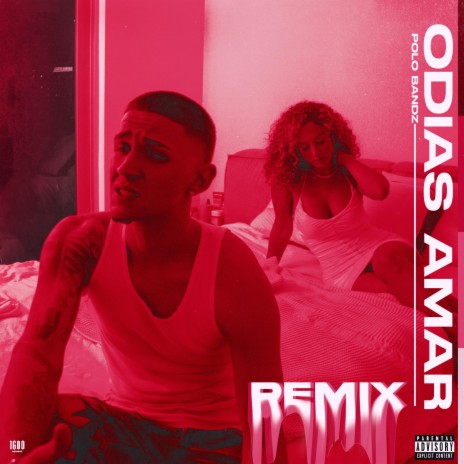 Odias Amar (Reparto Remix) | Boomplay Music