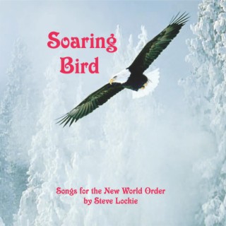 Soaring Bird