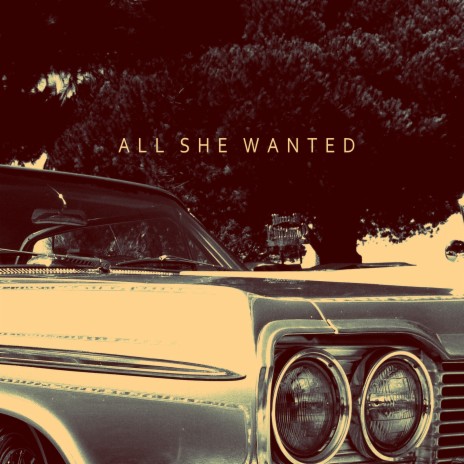 All She Wanted | Boomplay Music