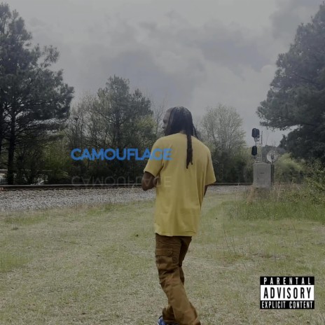 Camouflage | Boomplay Music