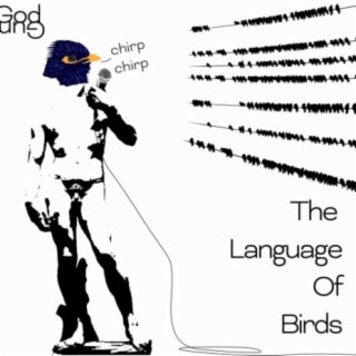 The Language Of Birds
