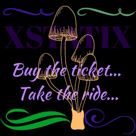 Buy the Ticket Take the Ride | Boomplay Music