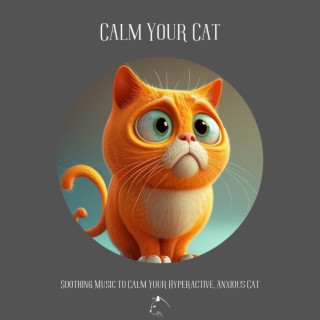 Calm Your Cat: Relaxing Piano Music and Singing Birds