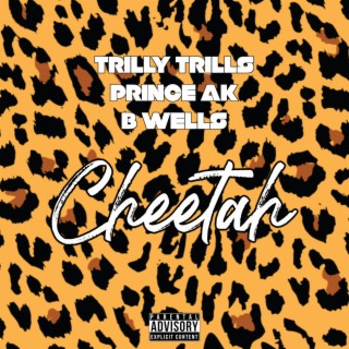 Cheetah ft. Prince Ak & B Wells lyrics | Boomplay Music