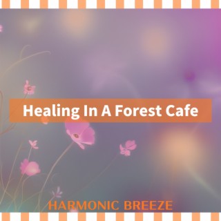 Healing In A Forest Cafe