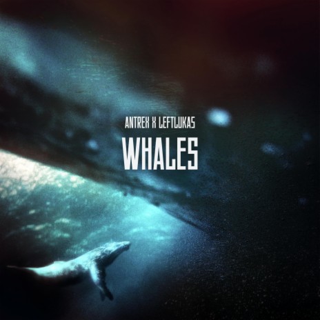 Whales ft. LeftLukas | Boomplay Music