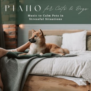 Piano for Cats & Dogs: Music to Calm Pets in Stressful Situations