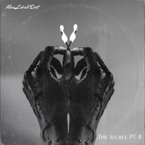 The Secret PT II | Boomplay Music