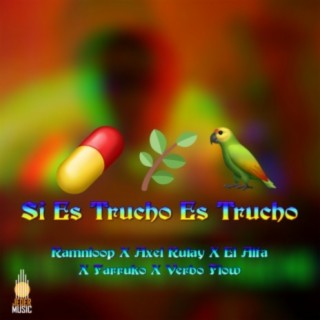 Si Es Trucho Es Trucho (feat. Verbo Flow & Axel Rulay) (Moombahton Remix)