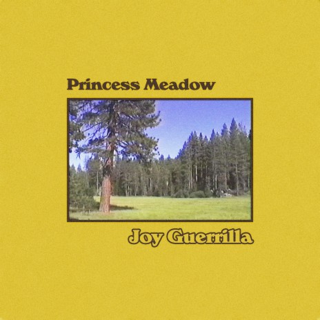 Princess Meadow (Morning) | Boomplay Music