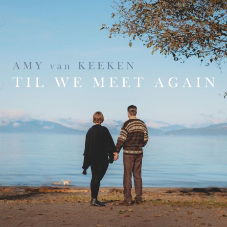 Til We Meet Again | Boomplay Music