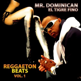 Reggaeton Beats, Vol. 1